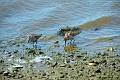 01 08 13_6281_edited-1